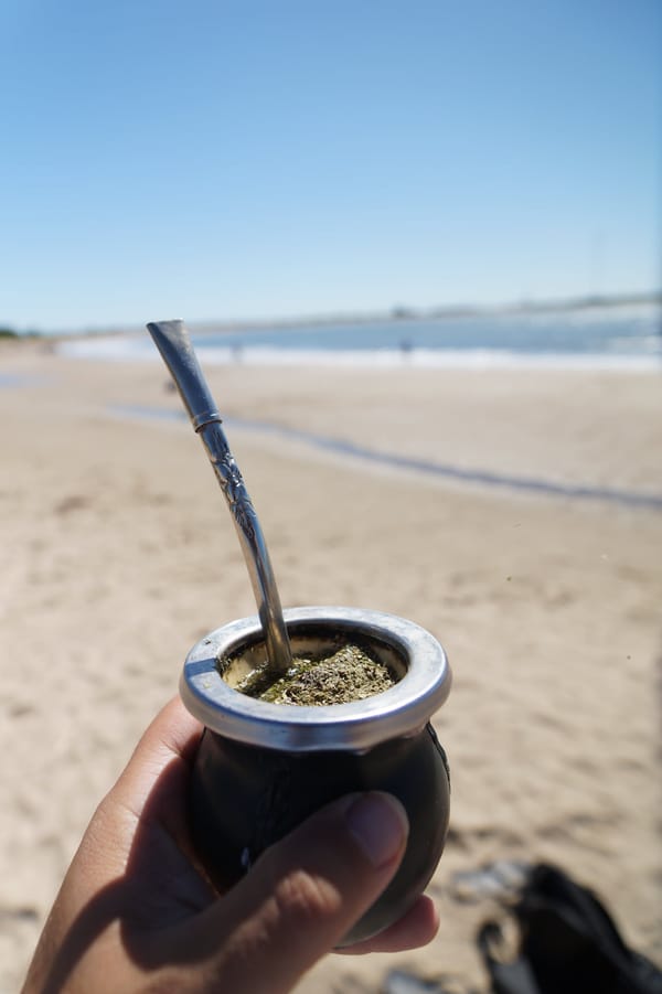 Everyone Gets Mate Wrong ( And Why I Finally Stopped Resisting )